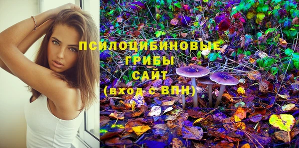 индика Анжеро-Судженск