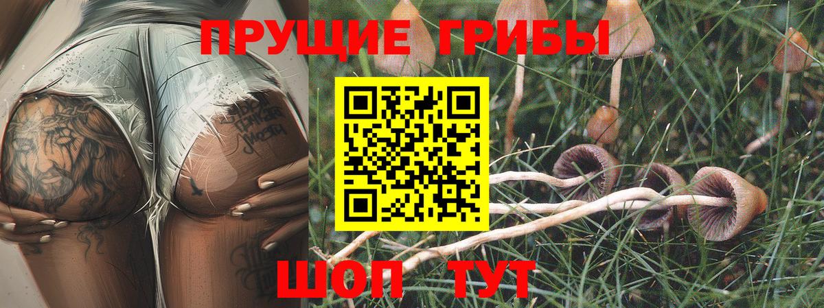 Галлюциногенные грибы Magic Shrooms  Вход с VPN  Псилоцибиновые грибы Cubensis  Каменка 
