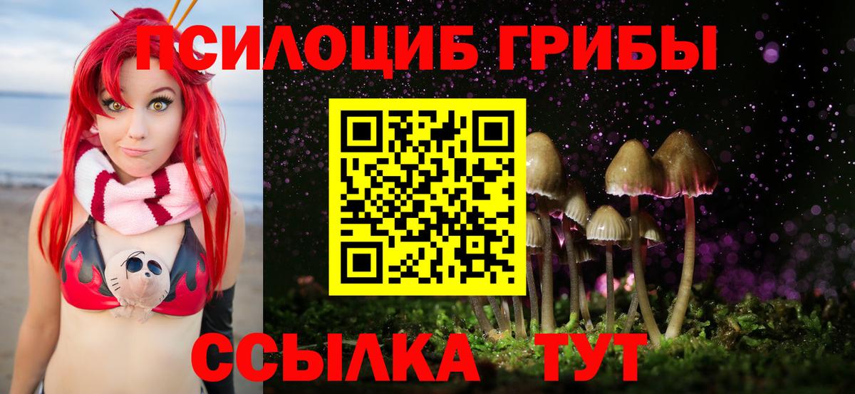 Галлюциногенные грибы ЛСД Каменка